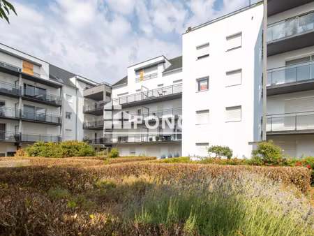 exclusivité - t2 + parking privatif en sous sol