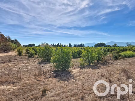 terrain agricole de 73a 85ca pour exploitation