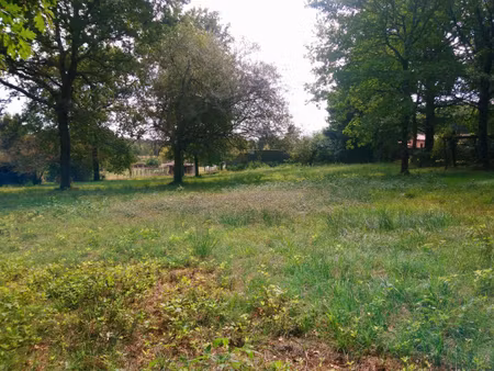 terrain