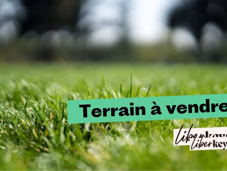 terrain de bois