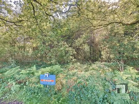 grond te koop in tessenderlo-ham