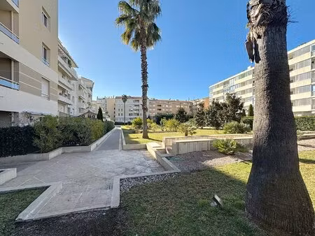 cannes palm beach studio terrasse