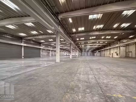bien professionnel à louer à boortmeerbeek € 46.787 (l8tc0) - panorama b2b brussel | zimmo