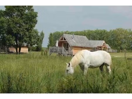 vente maison 7 pièces 175 m² berson (33390)