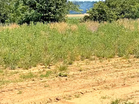 pfulgriesheim le jardin des hesperides lotissement