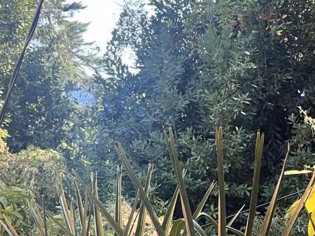 achat terrain 3 586m² cannes 06400