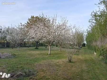 terrain 1350 m² nourray