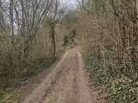 vente terrain 1916 m² à le mérévillois (91660), 1 650 €