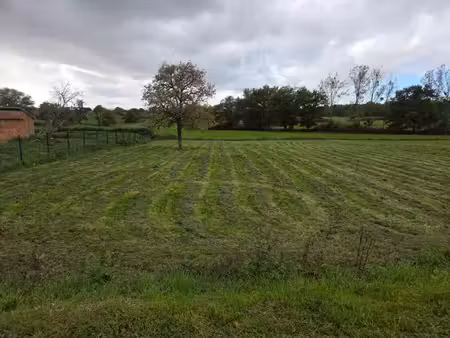 terrain à vendre de 1 539,00 m² gouise (03)