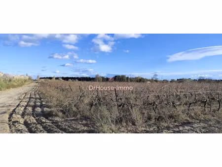 vente terrain 12000 m² à torreilles (66440), 24 400 €