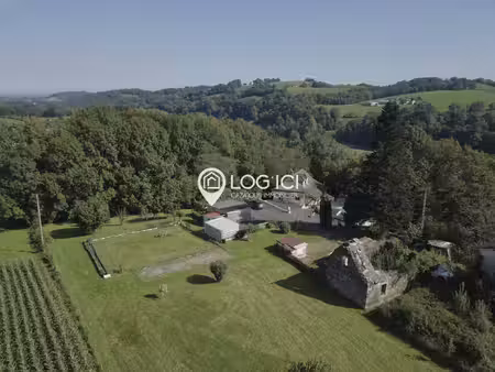 asson - vente maison t6 avec piscine sur 2 hectares