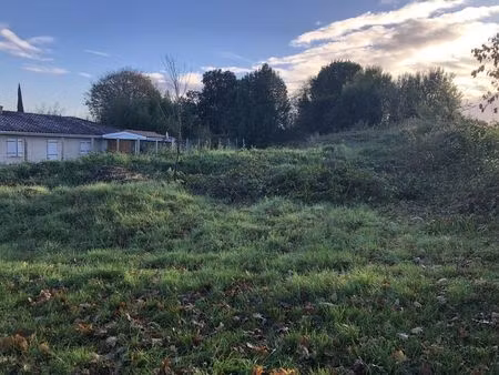 vente terrain vertheuil (33180)