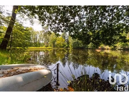 vente terrain 39973 m² champnétery (87400)