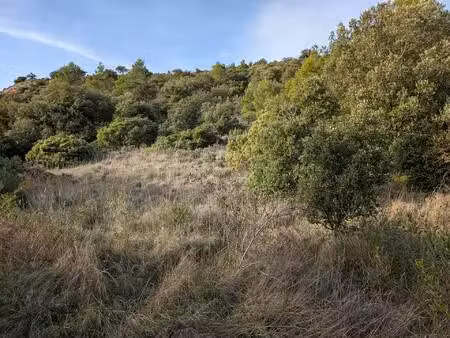 terrain