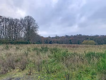 grand terrain dans le bourg de plouisy