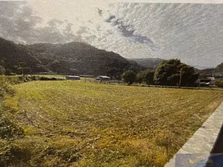 vente terrain 1250 m² à lourdes (65100), 51 000 €