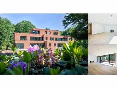 penthouse à louer à avenue juliette 13 uccle (vbd72499)