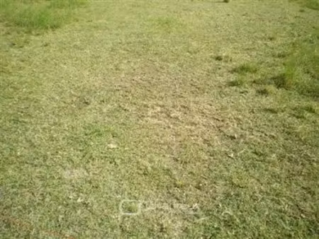 vente terrain 363 m² à saint-georges-de-didonne (17110), 429 000 €