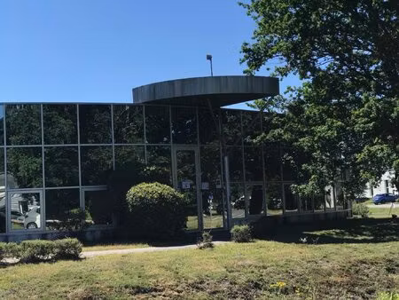 immobilier professionnel à vendre martillac