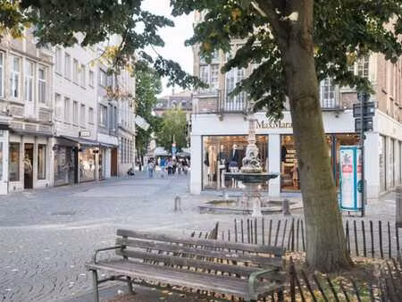 maison unique de 2 chambres avec espace extérieur au gand