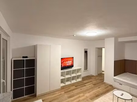 appartement lumineux d'une pièce recherche locataire