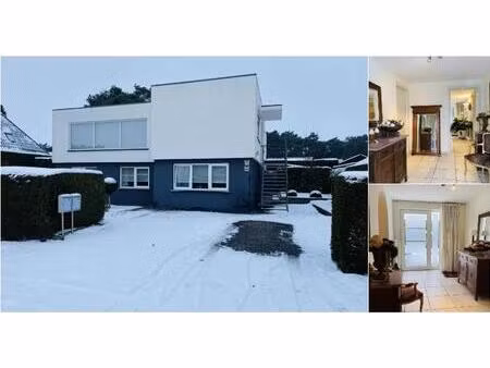 rez-de-chaussée à louer à zeggestraat 4 pelt (rbv04052)