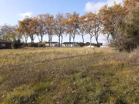 terrain à vendre à cadours (31480) ? 2 925 m² ? vue dégagée sur les pyrénées