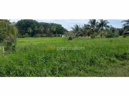 terrain constructible à vendre