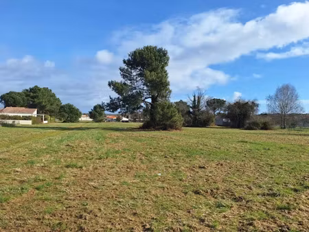 vente terrain 424 m² à royan (17200), 93 280 €