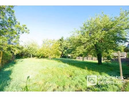 terrain constructible à vendre