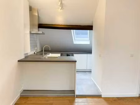 lumineux appartement récemment rénové en centre-ville