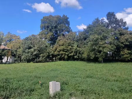 vente terrain 1000 m² à bayon-sur-gironde (33710), 85 000 €