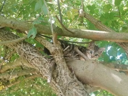 terrain 5000m2 constructible