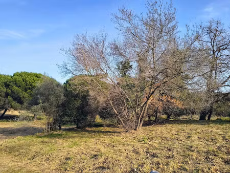 vente terrain 544 m² à frejus (83600), 252 500 €