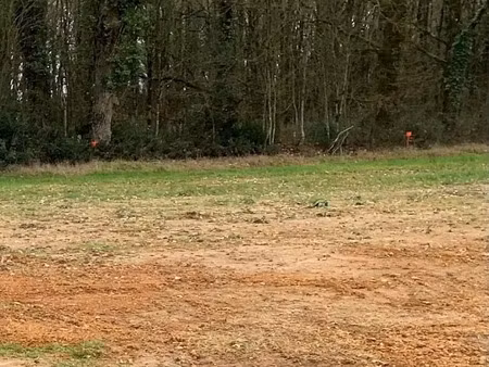 vente terrain 775 m² à frossay (44320), 102 000 €