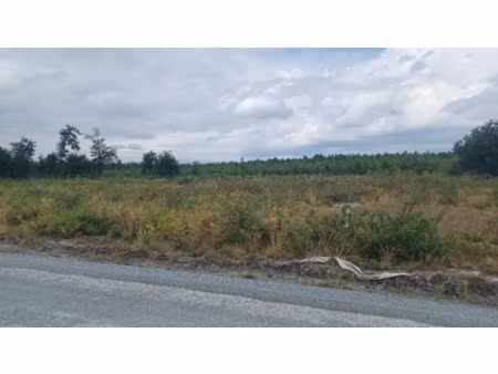 vente terrain 625 m² à le teich (33470), 195 000 €