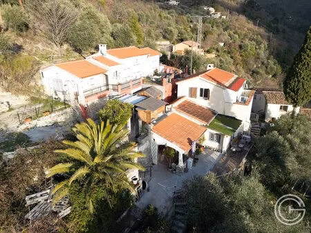 propriété avec maison, gîte indépendant et studio – 7 500 m² de terrain - peille