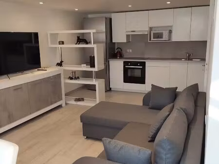 meublé: studio de 30m² avec terrasse de 70m², garage et (edf,eau....)