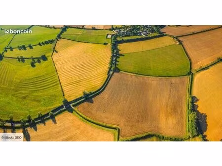 terres agricoles et/ou vergers pruniers