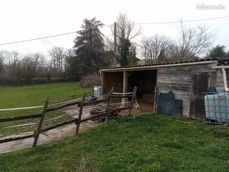 location pré pour chevaux, animaux