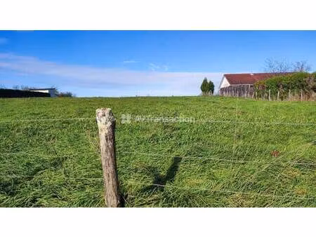 terrain constructible viabilisé à vendre