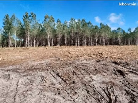 terrain 834 m² hourtin