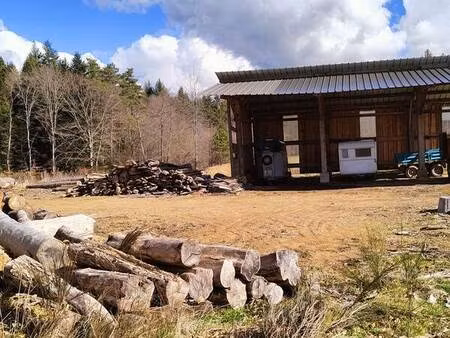 terrain artisanal avec hangar