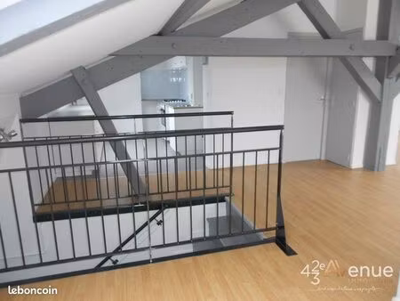 loft 1 pièce 49 m²