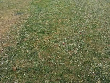 vente terrain à pont-scorff (56620) : à vendre / pont-scorff