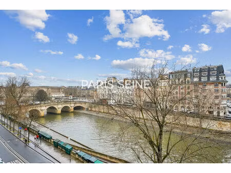 ** pont neuf ** magnifique studio avec vue dégagée sur monuments !