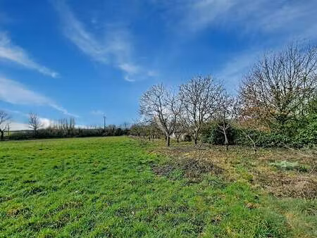 vente terrain à nueil-sur-layon (49560) : à vendre / 4790m² nueil-sur-layon