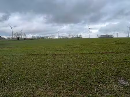 terrain à vendre (lot 1)