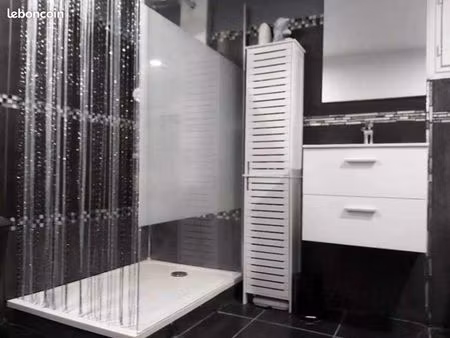 loue t3 à la valentine