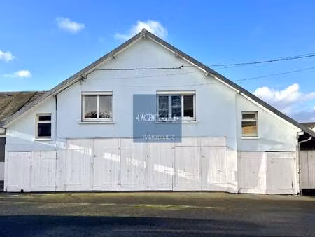 vente immeuble à saint-brieuc centre ville, charner, ste thérèse (22000) : à vendre / sain